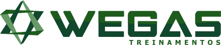 wegastreinamentos.com.br